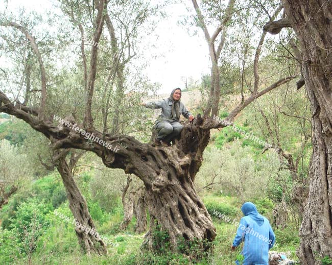 زنان مجاهدین